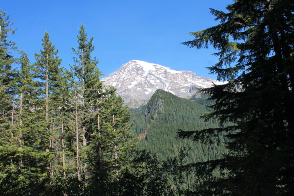 view of mount ranier with green trees